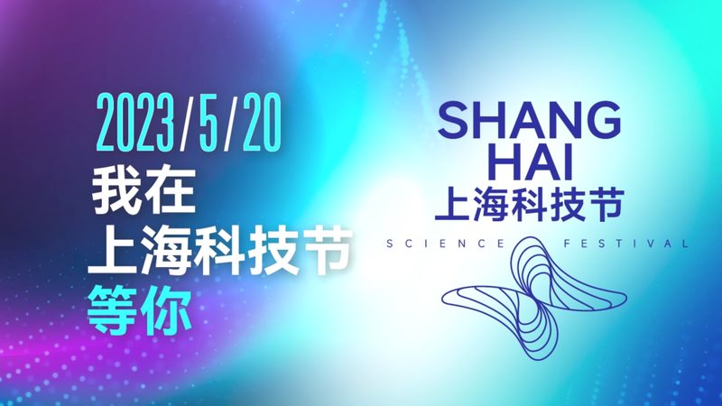 网络安全风险评估：如何选择专业公司**